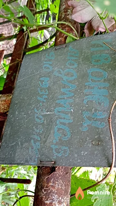 Ивонец Людмила В