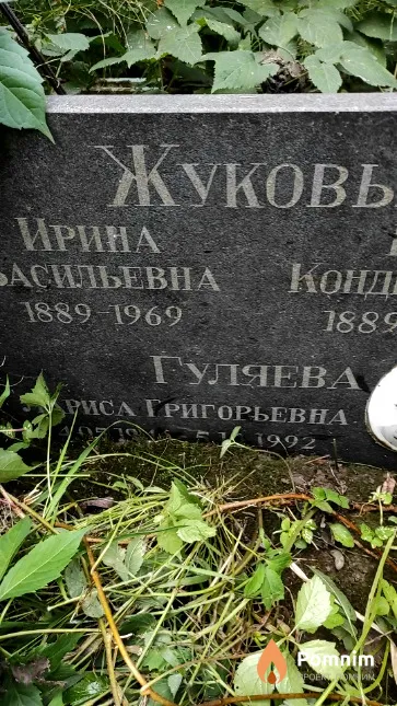 Гуляева Лариса Григорьевна
