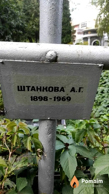 Штанкова А. Г.