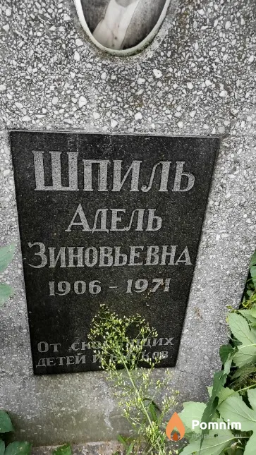 Шпиль Адель Зиновьевна