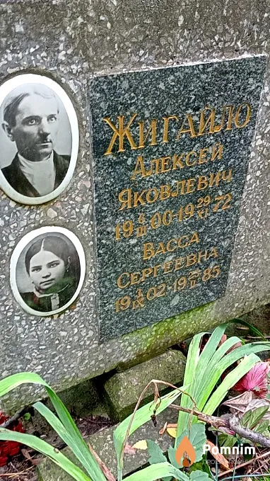 Жигайло Васса Сергеевна