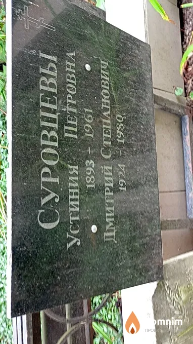 Суровцев Дмитрий Степанович