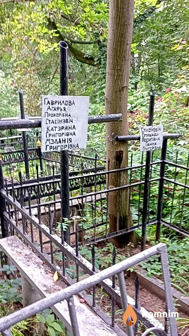 Гаврилова Агафья Прохоровна