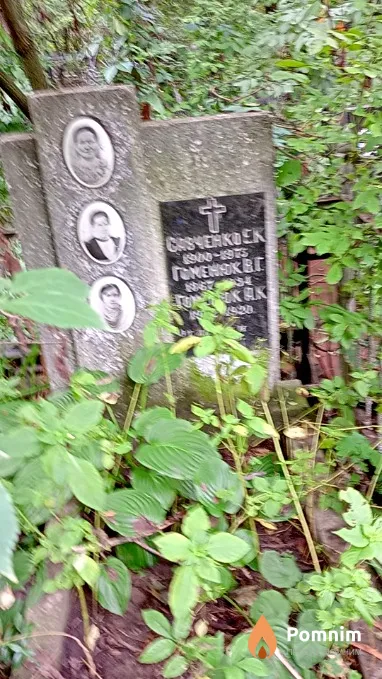 Гоиенюк В Г