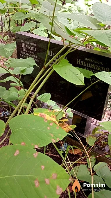 Щукин Илларион Никифорович