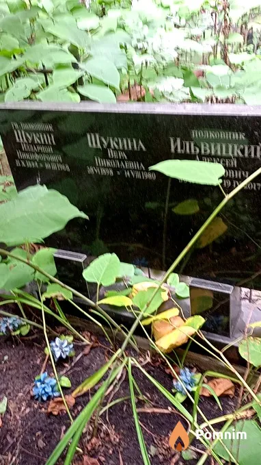 Ильвицкий Алексей Михайлович
