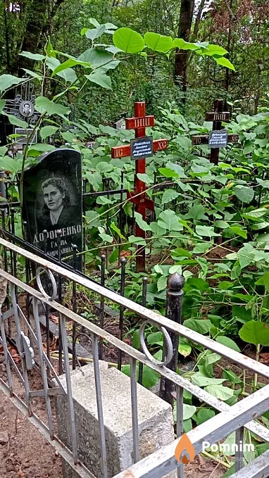 Дорошенко Анна Кирилловна