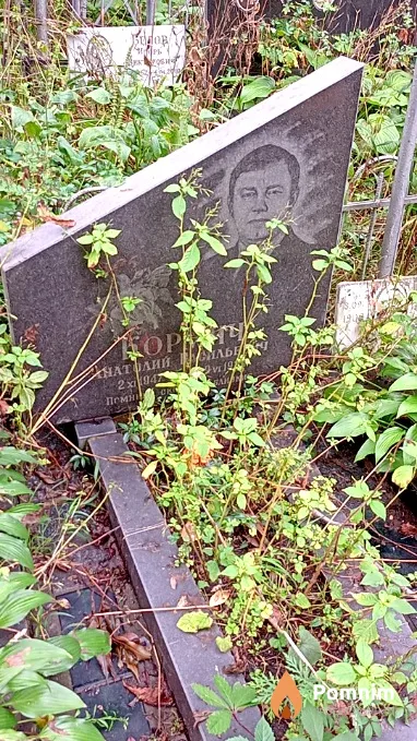 Кормич Анатолий Васильевич
