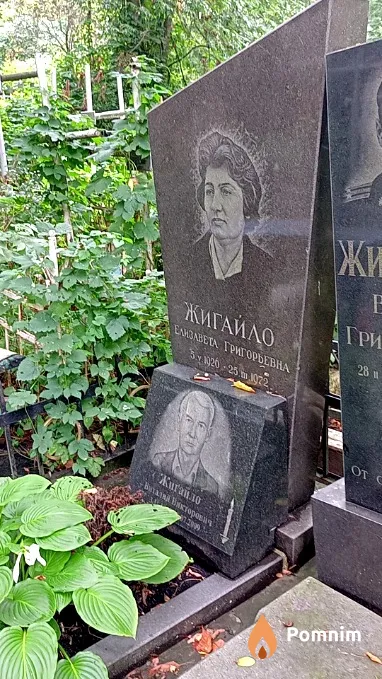 Жигайло Виталий Викторович
