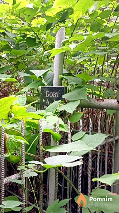 Бовт А А