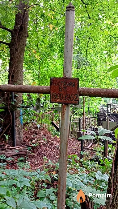 Костяная В Т