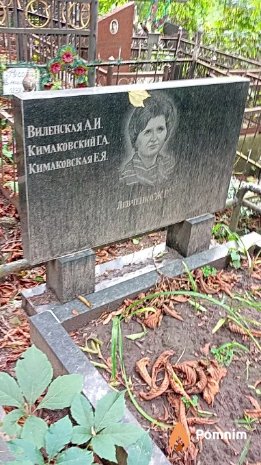 Виленская А И