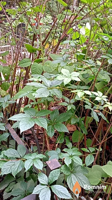Барановская Мария Фёдоровна
