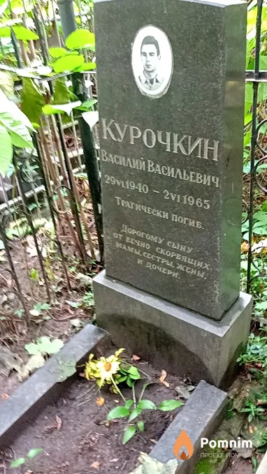 Курочкин Василий Васильевич