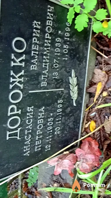 Дорожко Анастасия Петровна