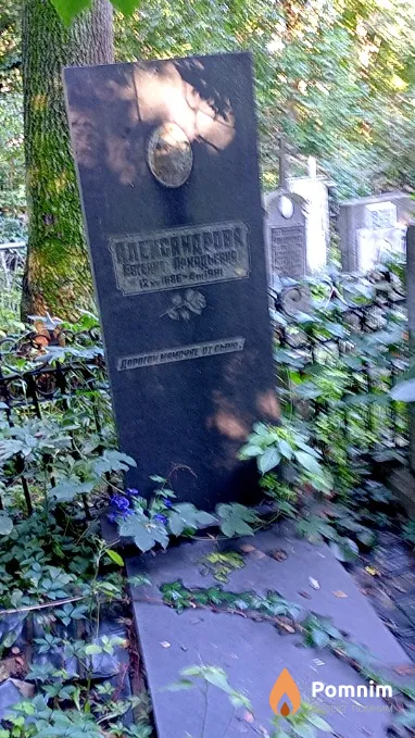Александрова Евгения Аркадьевна