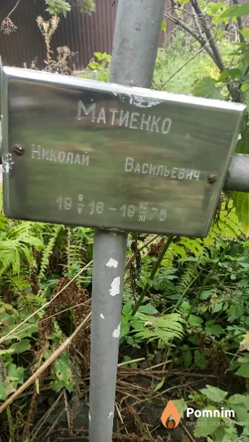 Матиенко Николай Васильевич