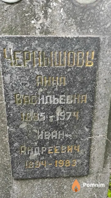 Чернышева Анна Васильевна