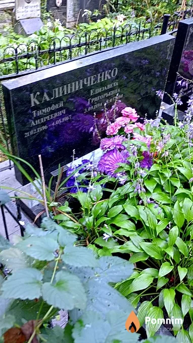 Калиниченко Тимофей Андреевич