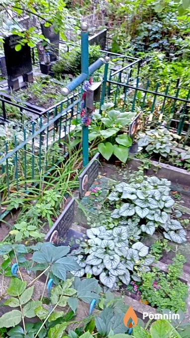 Ежиков Александр Иванович