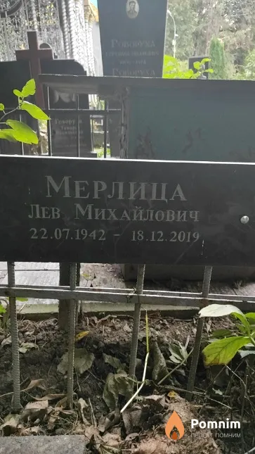 Мерлица Лев Михайлович