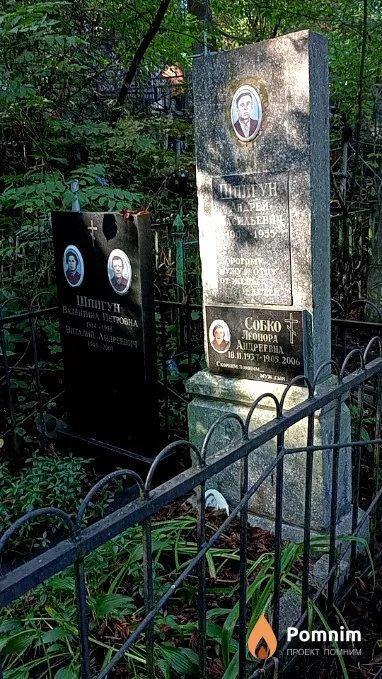 Шпигун Андрей Васильевич