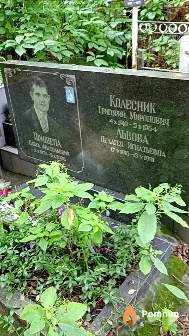 Колесник Григорий Миронович