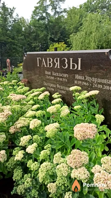Гавязь Инна Эдуардовна