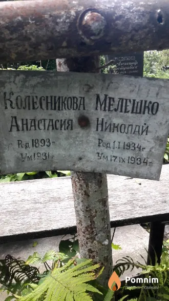 Колесникова Анастасия .