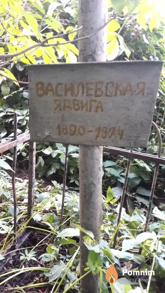 Василевская Ябвига