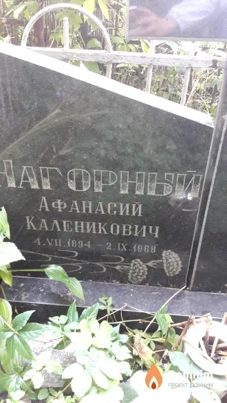 Рябенко Лидия Николаевна