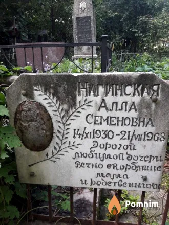 Нигинская Алла Семеновна