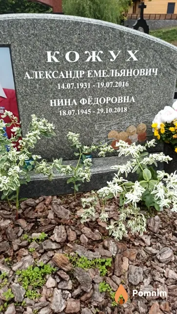 Кожух Александр Емельянович