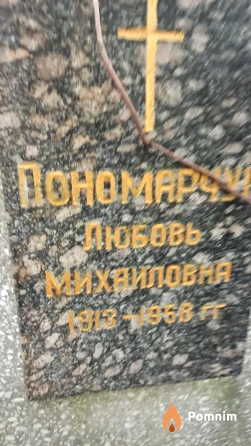 Пономарчук Любовь Михайловна