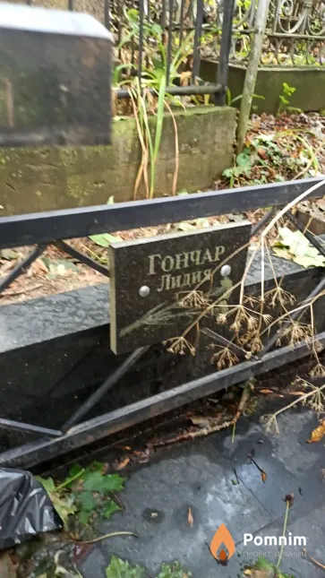 Гончар Лидия