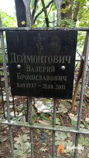 Деймонтович Валерий Брониславович