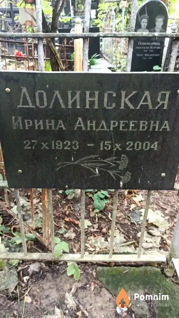 Долинская Ирина Андреевна