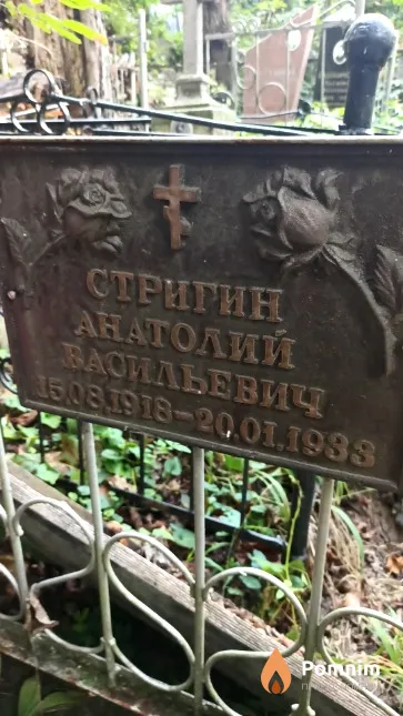 Стригин Анатолий Васильевич