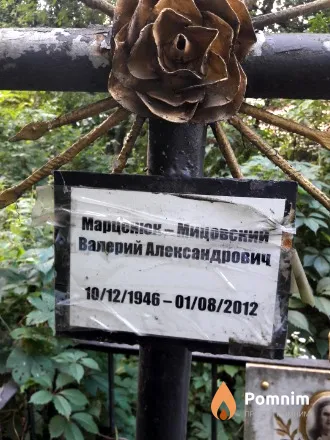 Марценюк-Мицовский Валерий Александрович