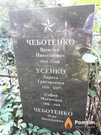 Усенко Лариса Григорьевна