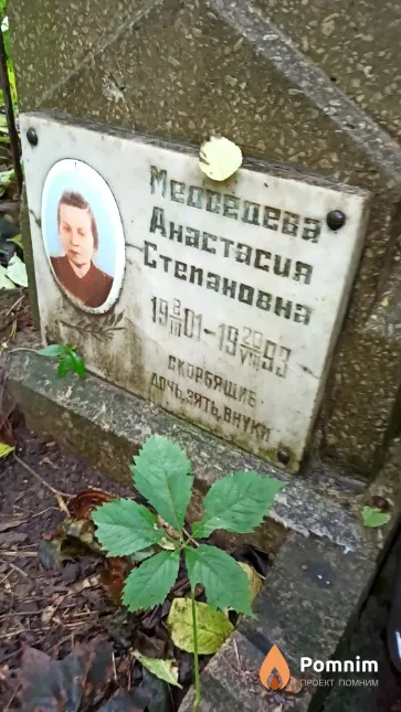 Медведева Анастасия Степановна