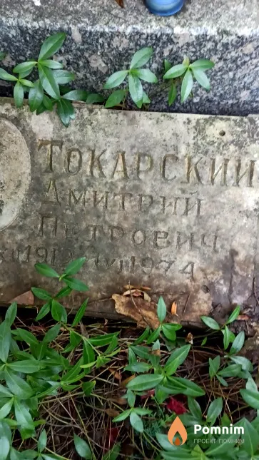 Токарский Дмитрий Петрович