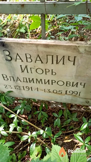 Завалич Игорь Владимирович