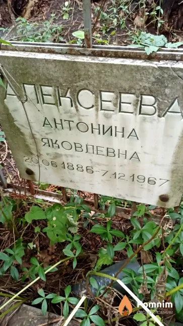 Алексеева Антонина Яковлевна