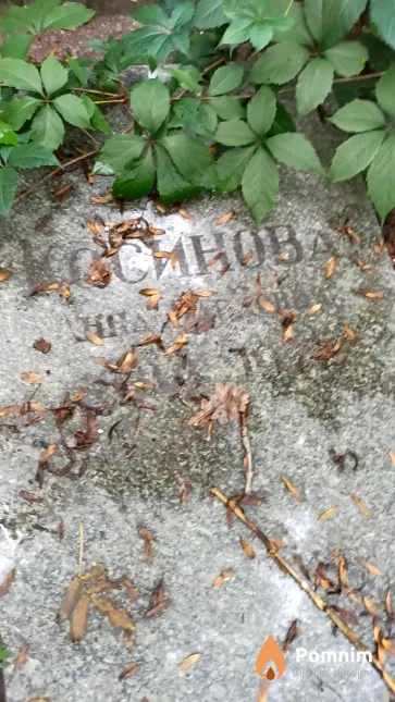 Косинова Анна Павловна