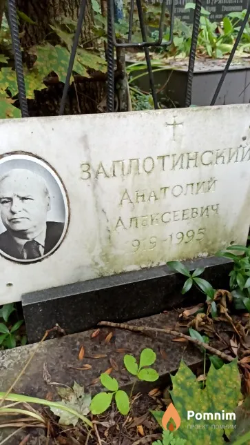 Заплотинский Анатолий Алексеевич