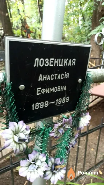 Лозенцкая Анастасія Ефимовна