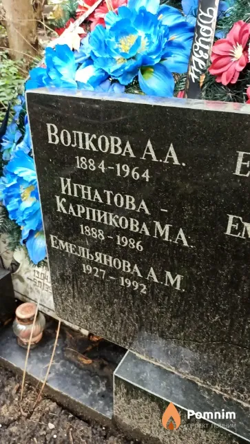 Волкова А. А