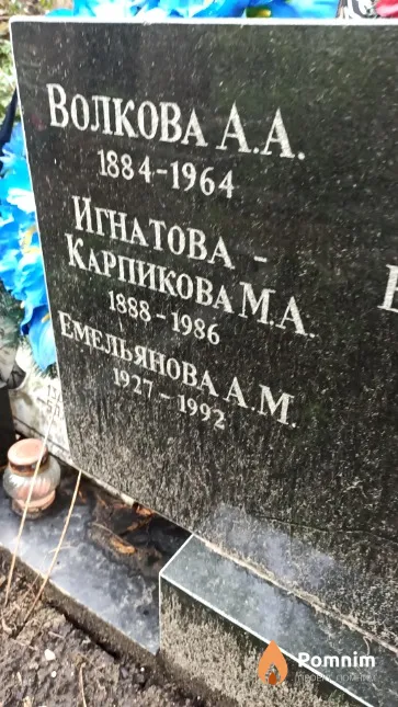 Емельянова А. М.