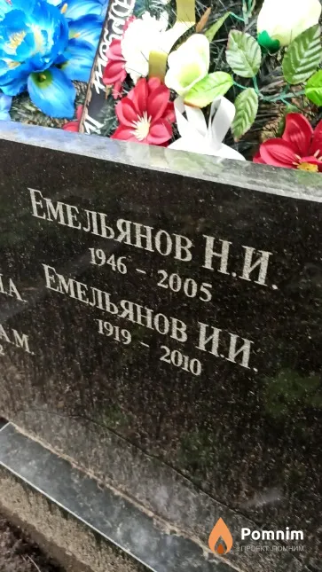 Емельянов Н. И.
